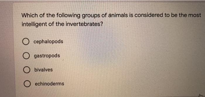 Solved Which of the following groups of animals is | Chegg.com