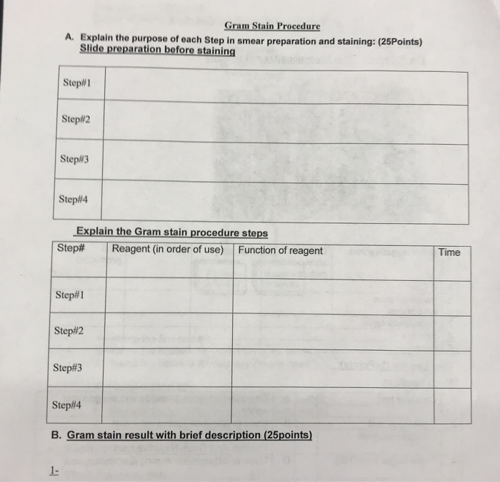 Solved Gram Stain Procedure A. Explain the purpose of each | Chegg.com