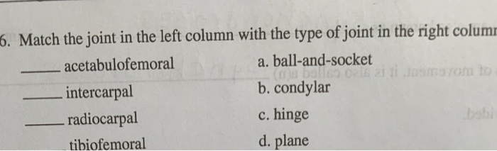 Solved 6. Match the joint in the left column with the type | Chegg.com