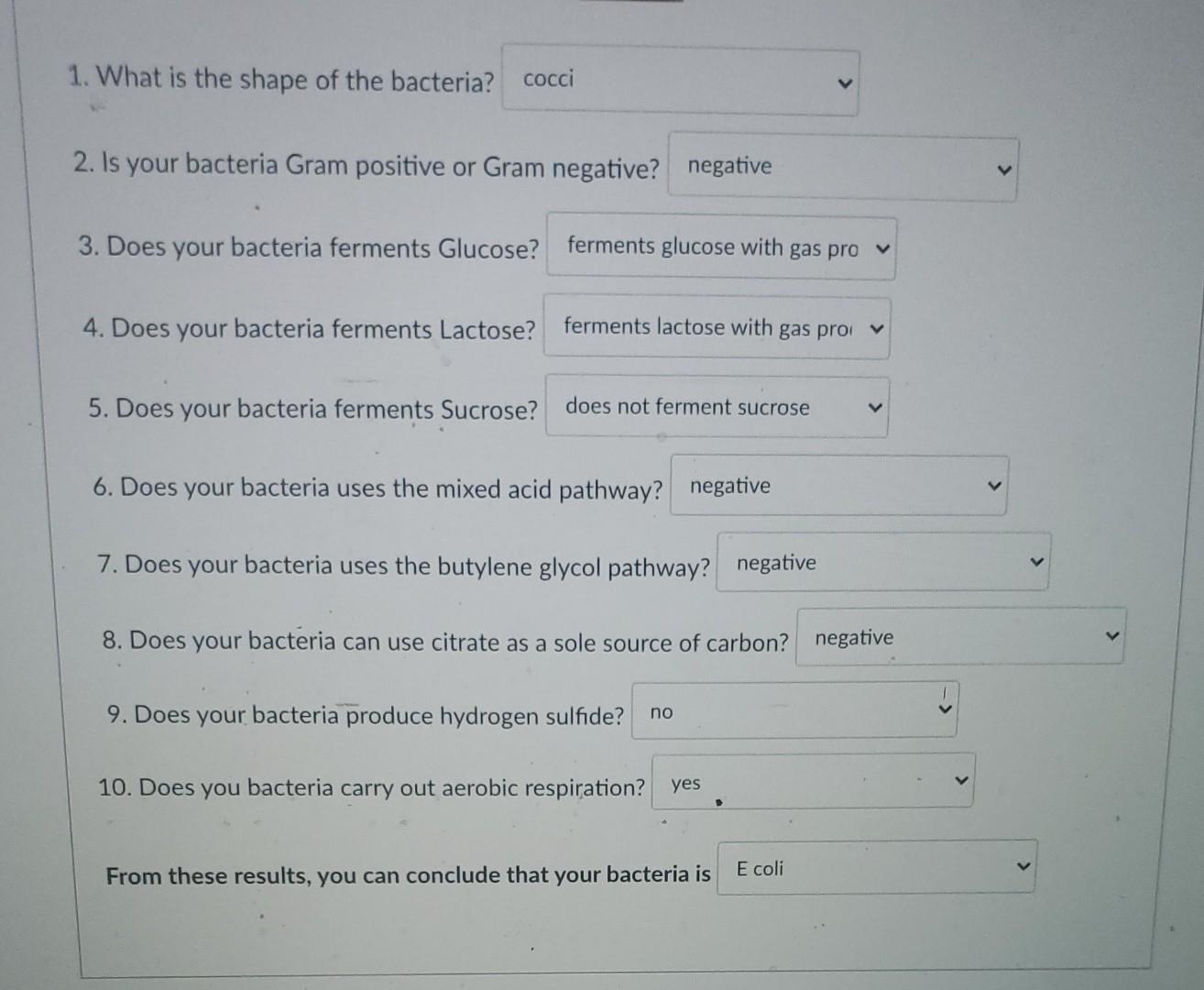 Solved Look at the results obtained for an unknown bacteria | Chegg.com