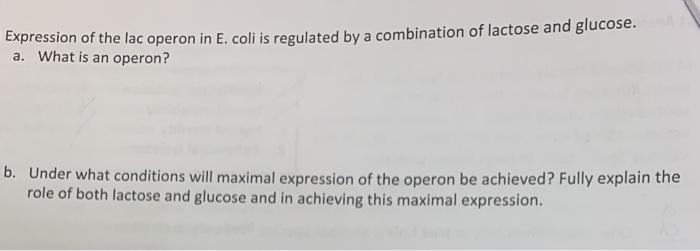 Solved Expression of the lac operon in E. coli is regulated | Chegg.com