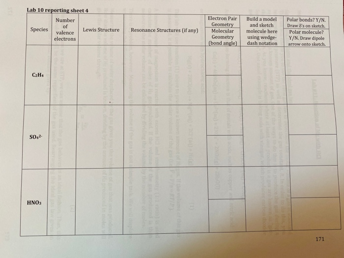 Solved Lab 10 reporting sheet 3 Number of Species Lewis Chegg