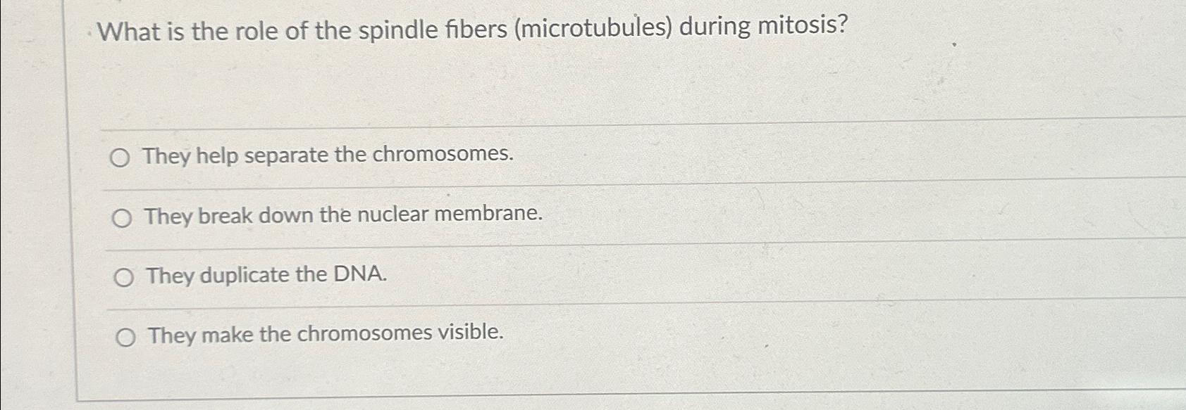 Solved What is the role of the spindle fibers microtubules Biology Diagrams