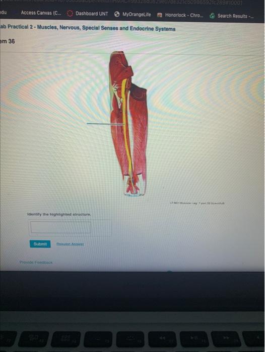 Solved COD3005 CONDO adu Access Canvas (C.. Dashboard UNT