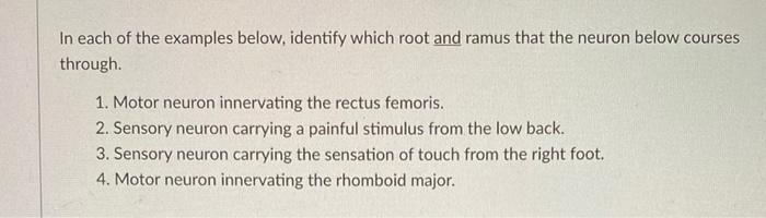Solved In each of the examples below, identify which root | Chegg.com