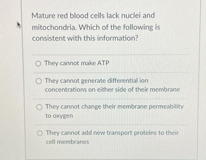 Solved Mature red blood cells lack nuclei and mitochondria. | Chegg.com