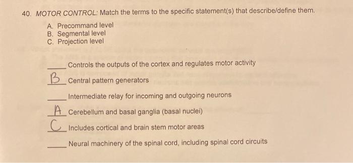 Solved 40. MOTOR CONTROL: Match the terms to the specific | Chegg.com