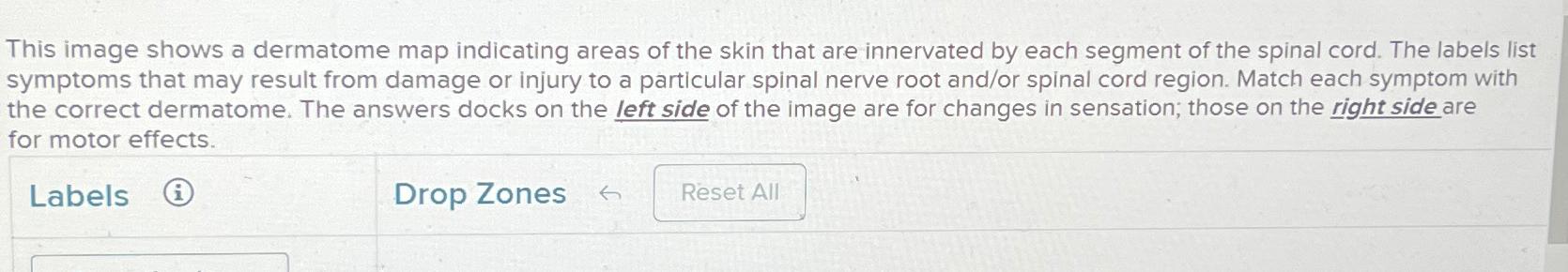 Solved This image shows a dermatome map indicating areas of | Chegg.com