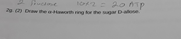 Solved 2 fructose 10+2 = 20 ATP 2g. (2) Draw the a-Haworth | Chegg.com