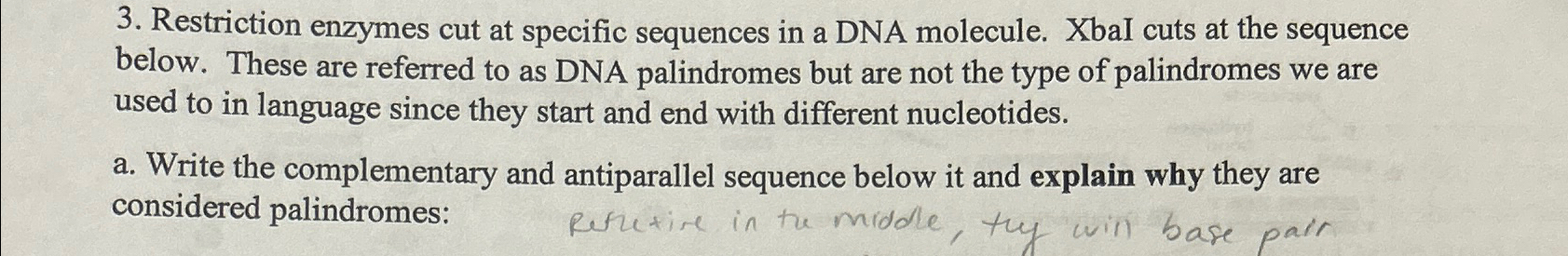 Solved Restriction enzymes cut at specific sequences in a | Chegg.com