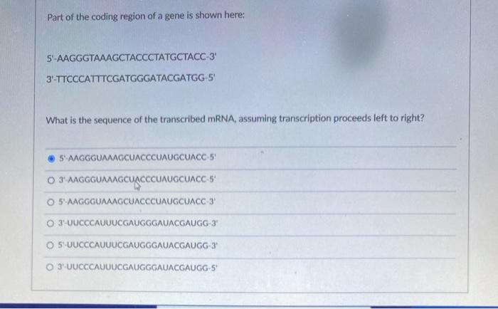 Solved Part of the coding region of a gene is shown here: | Chegg.com