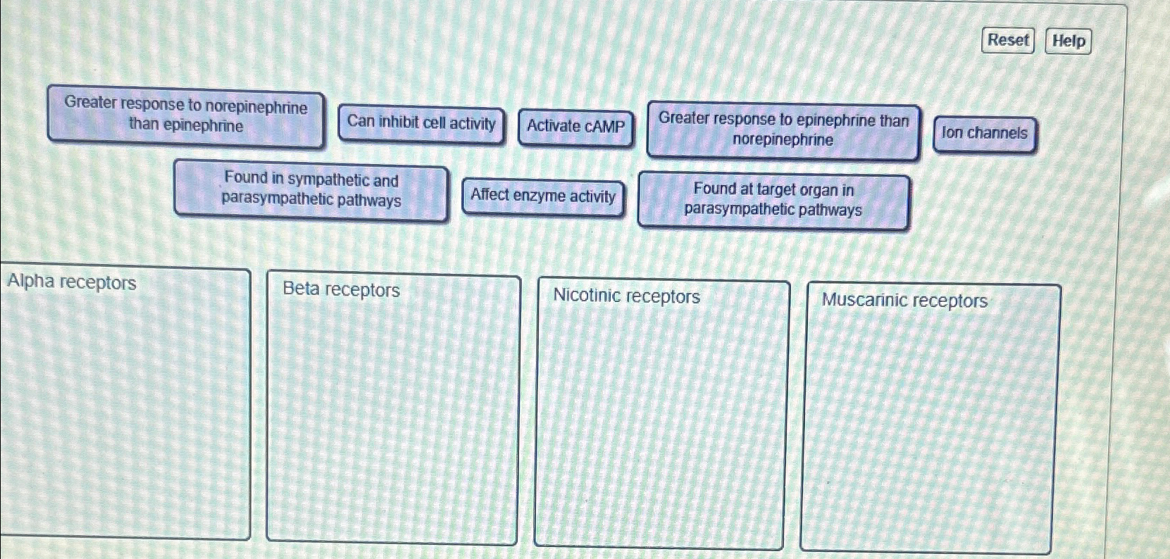 Solved ResetHelp ﻿Greater response to ﻿norepinephrine ﻿than | Chegg.com