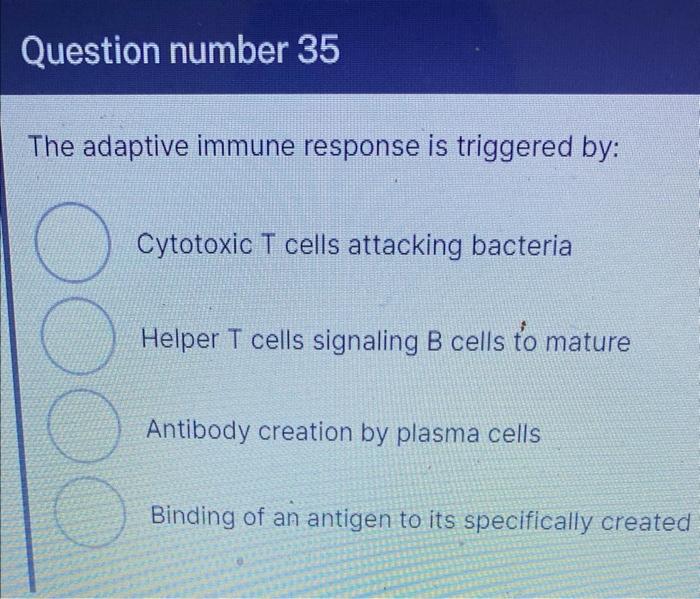 b cells and t cells are part of the adaptive immune response