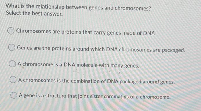 Solved What is the relationship between genes and | Chegg.com