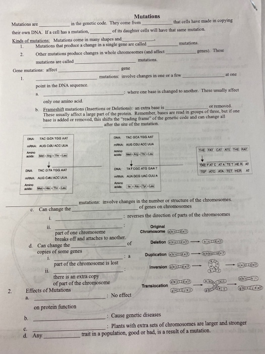 Solved Mutations Mutations are in the genetic code. They | Chegg.com