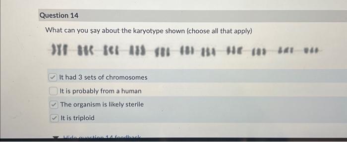 Solved The Genotype Of One Parent Is Bb Where B Is The | Chegg.com