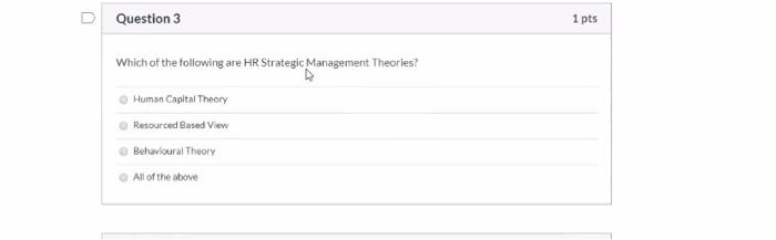 Solved Question 3 Which of the following are HR Strategic | Chegg.com