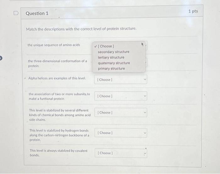 Solved Match the descriptions with the correct level of | Chegg.com