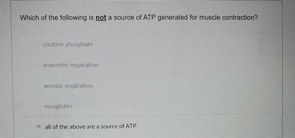 solved-which-of-the-following-is-not-a-source-of-atp-chegg