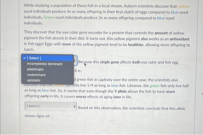 Solved This diploid fish displays three eye color phenotypes | Chegg.com