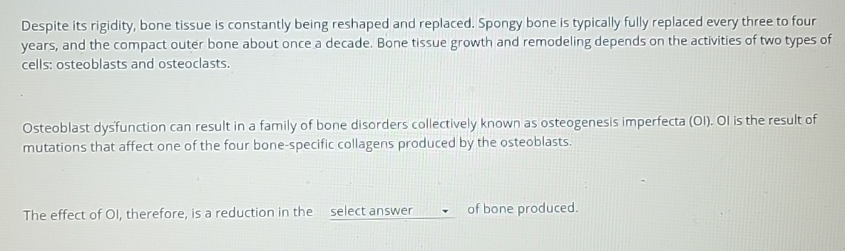 Solved Despite Its Rigidity, Bone Tissue Is Constantly Being 