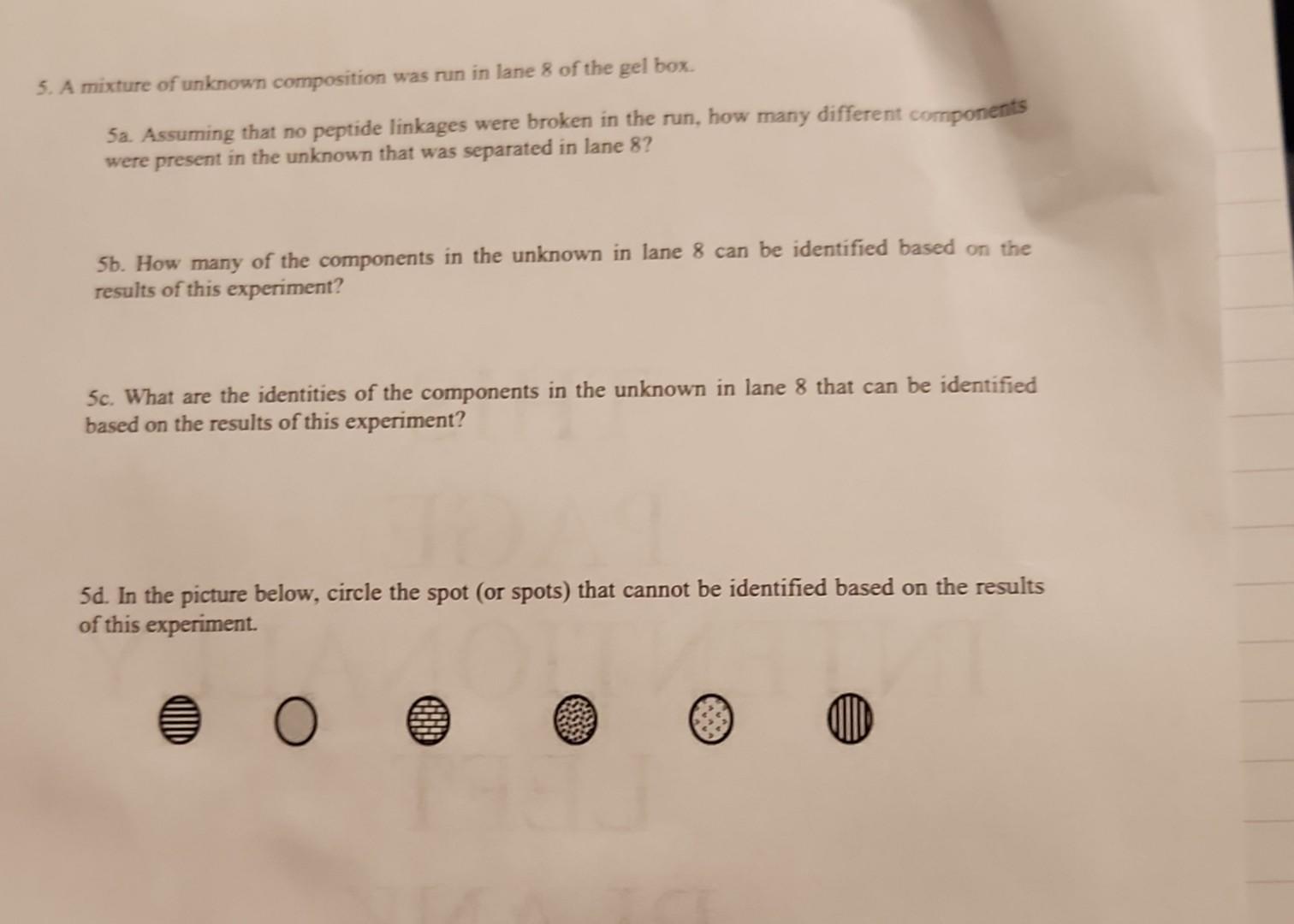 Solved 5a. Assuming that no peptide linkages were broken in