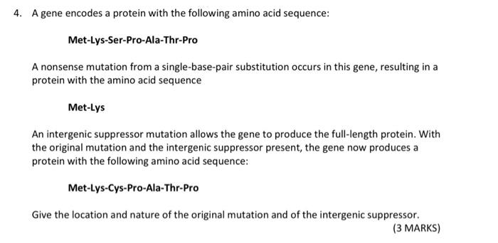 Solved 4. A Gene Encodes A Protein With The Following Amino | Chegg.com