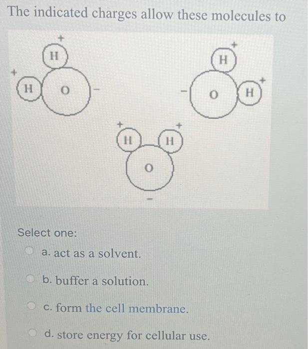 Solved Use the following diagram to answer this question The | Chegg.com