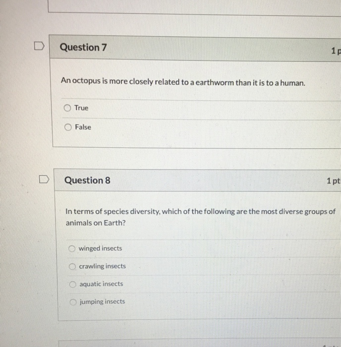 Solved Question 7 1 pts An octopus is more closely related | Chegg.com