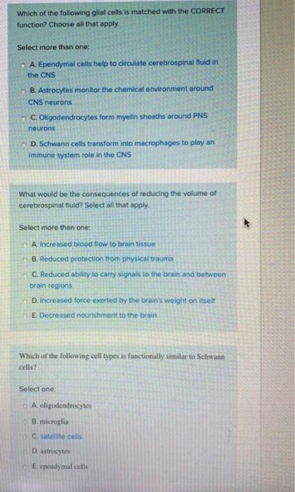 Solved Which Of The Following Glial Cells is Matched With Chegg