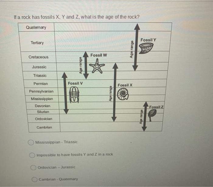 Solved If a rock has fossils X, Y and Z, what is the age of