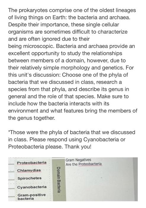 The prokaryotes comprise one of the oldest lineages of living things on Earth: the bacteria and archaea. Despite their import