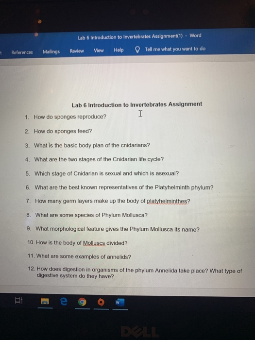 Solved Lab 6 Introduction to Invertebrates Assignment(1) - | Chegg.com