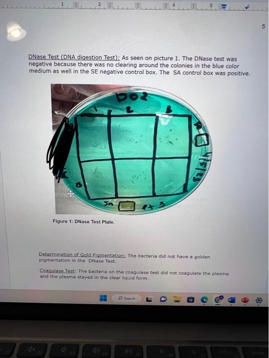 Solved Could I please have help writting the abstract and | Chegg.com