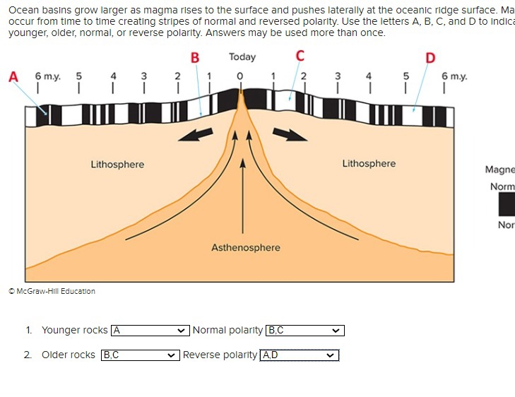 Solved Ocean basins grow larger as magma rises to the | Chegg.com