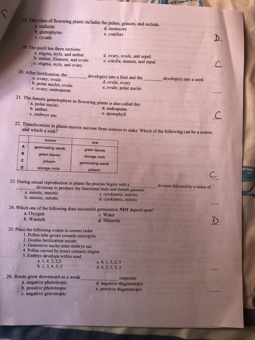 Solved 18 This Class Of Flowering Plants Includes The Pa Chegg Com