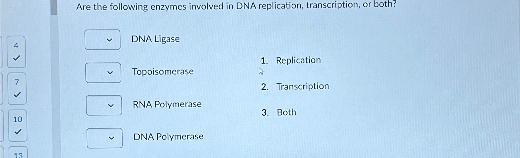 Solved Are the following enzymes involved in DNA | Chegg.com