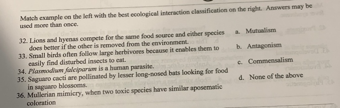 Solved Match Example On The Left With The Best Ecological | Chegg.com