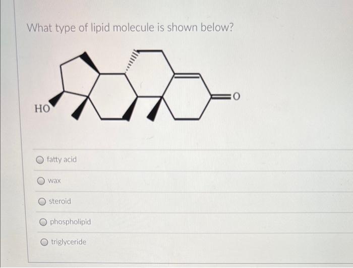 Solved What type of lipid molecule is shown below? 0 HO