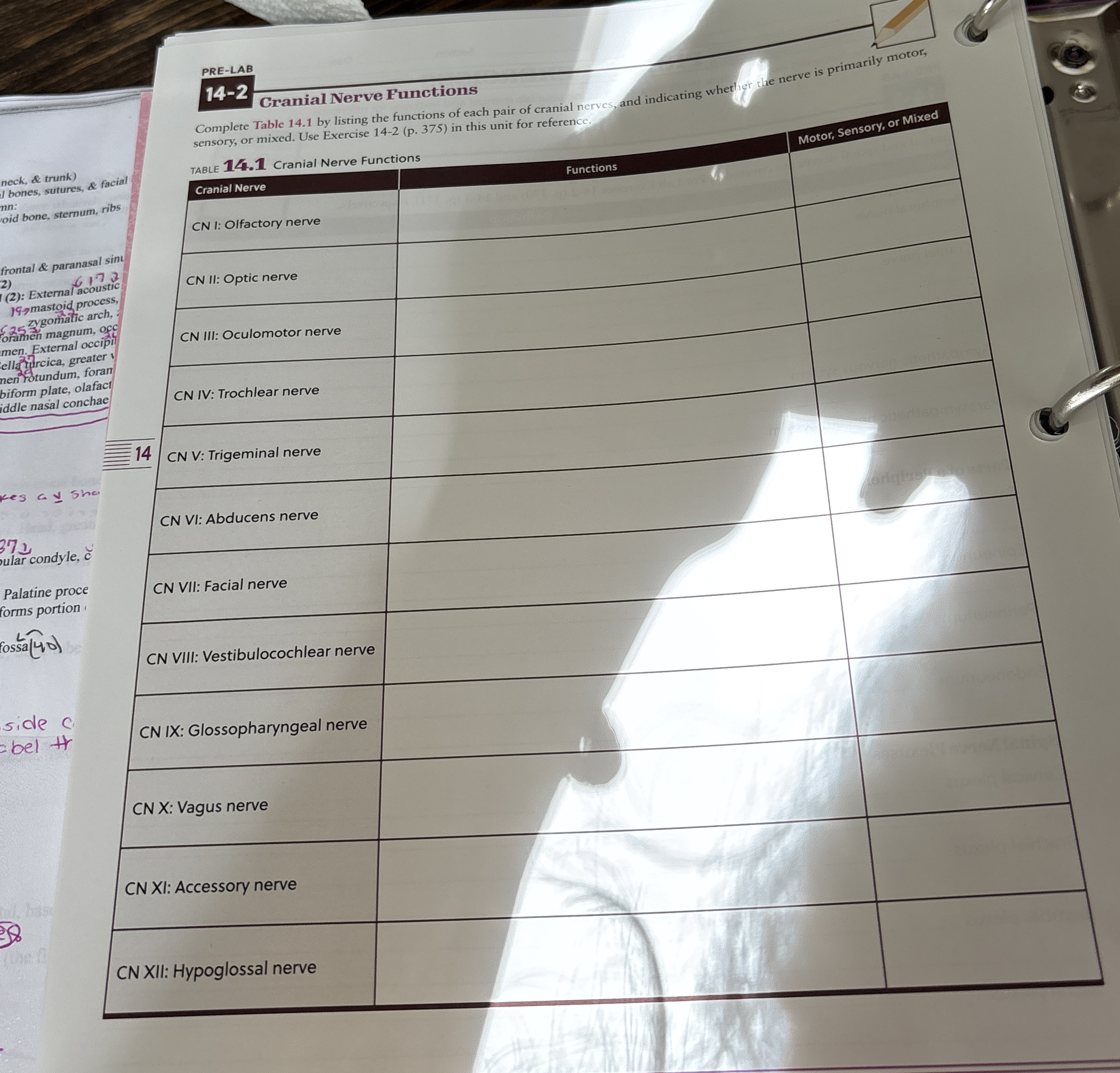 Solved PRE-LAB14-2 ﻿Granial Nerve FunctionsComplete Table | Chegg.com