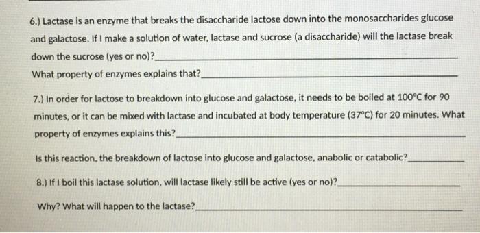 Solved 6.) Lactase is an enzyme that breaks the disaccharide | Chegg.com