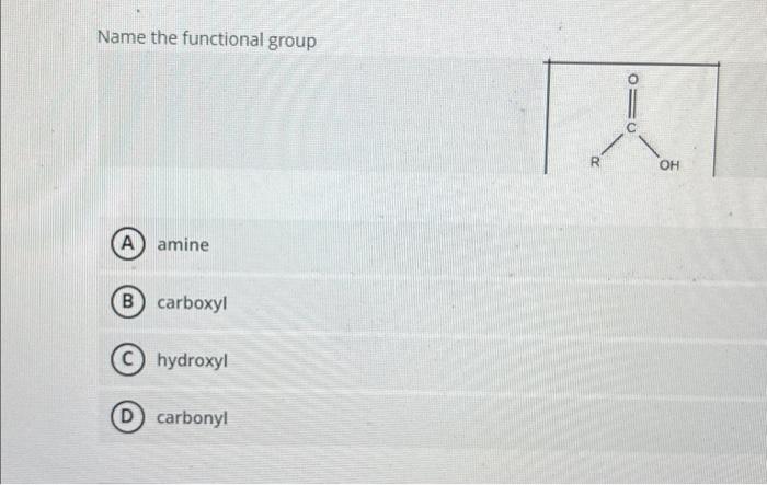 Solved Name The Functional Group A Amine B) Carboxyl C) | Chegg.com