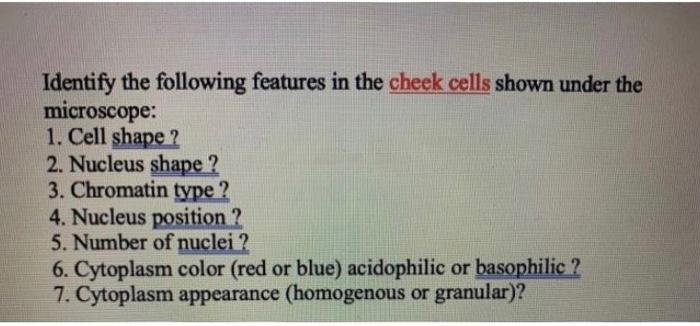 Solved Identify the following features in the cheek cells | Chegg.com