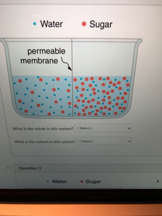 Solved Water Sugar permeable membrane What is the solute in
