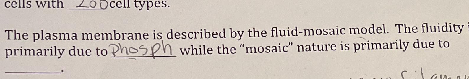 Solved The plasma membrane is described by the fluid-mosaic | Chegg.com
