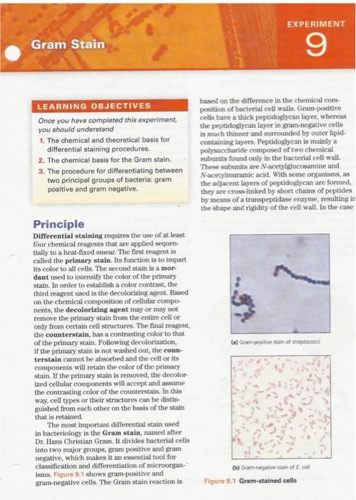 objective of gram staining experiment