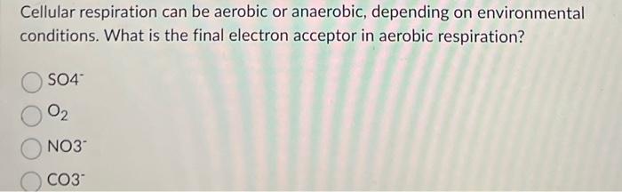 Solved Enzymes, as biological catalysts, play indispensable | Chegg.com