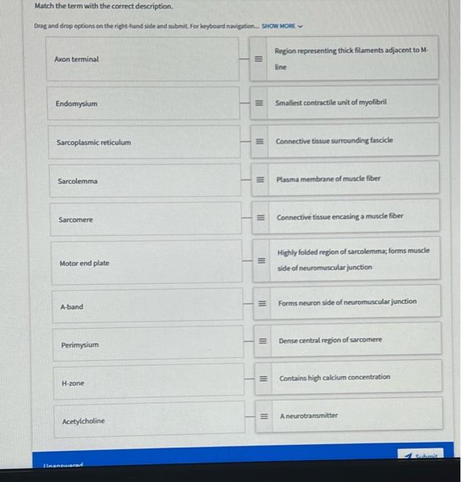 Solved Match the term with the correct description. Drag and | Chegg.com