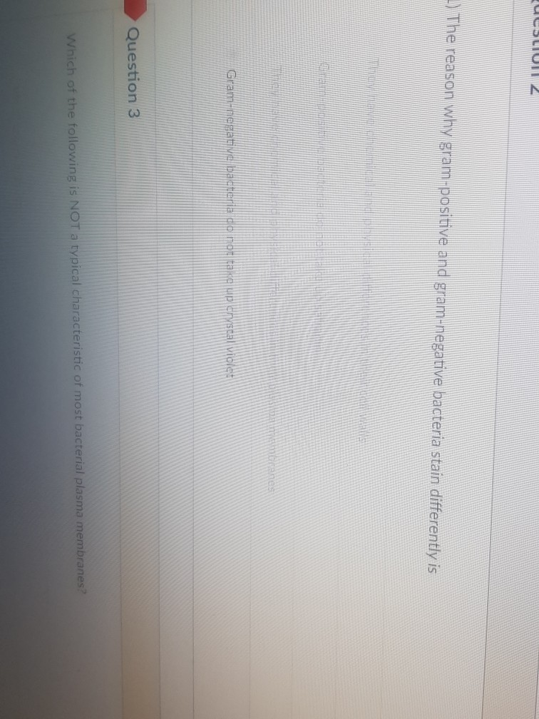 Solved 2 on why gram-positive and gram-negative bacteria | Chegg.com