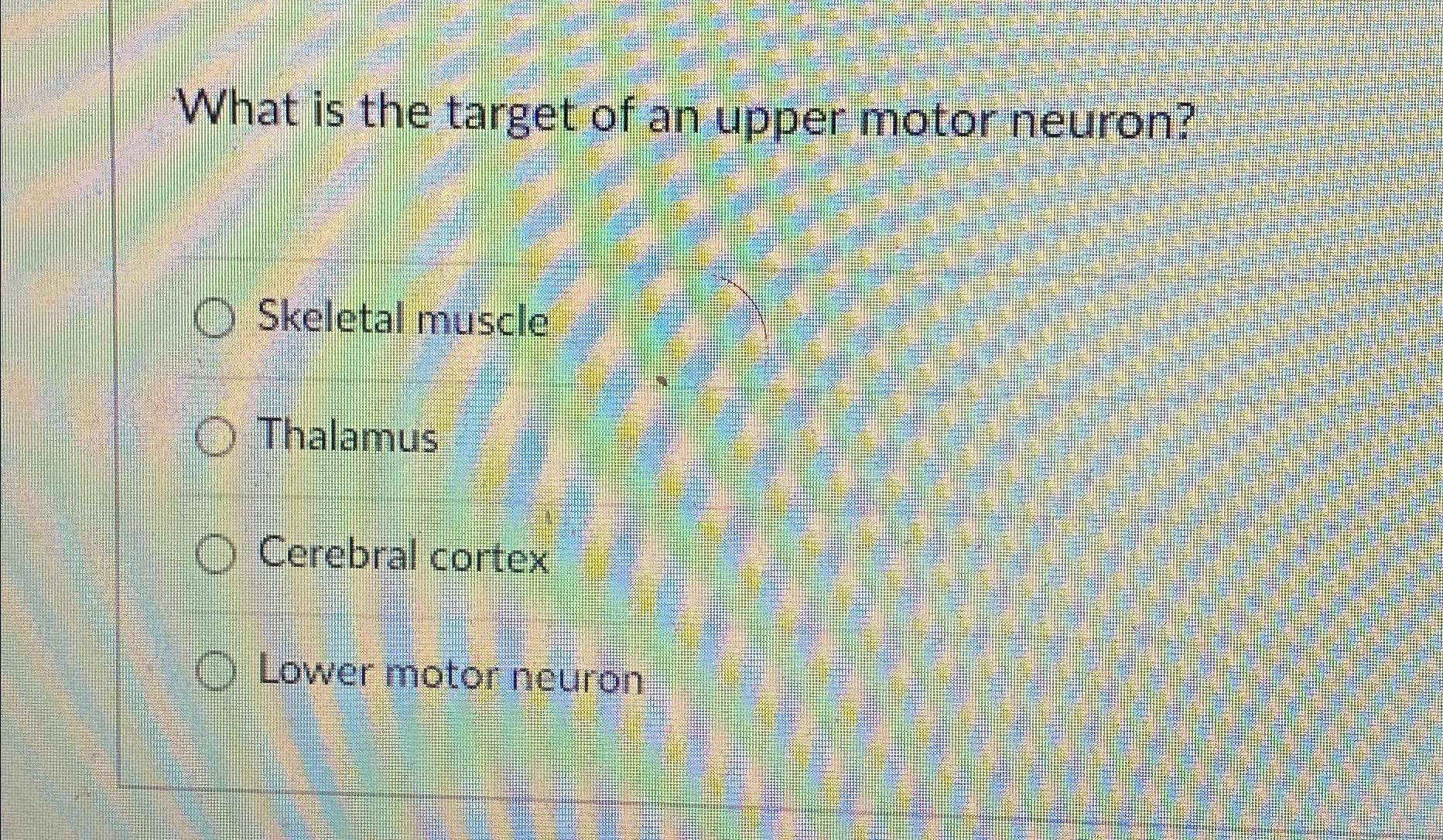 Solved What is the target of an upper motor neuron?Skeletal | Chegg.com